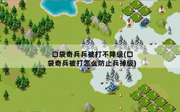 口袋奇兵兵被打不降级(口袋奇兵被打怎么防止兵掉级)